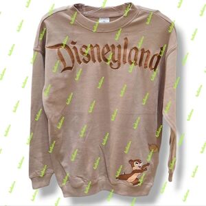 DISNEYLAND CHIP N DALE BROWN PULLOVER